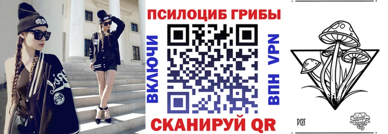 дарнет шоп  Черногорск  Галлюциногенные грибы Cubensis 